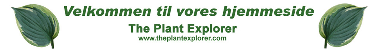 The Plant Explorer