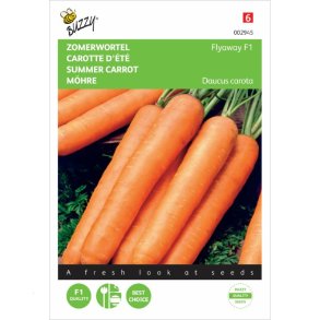 Daucus carota Flyway F1