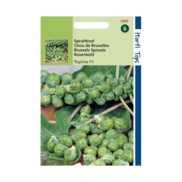Brassica oleracea Topline / Igor F1