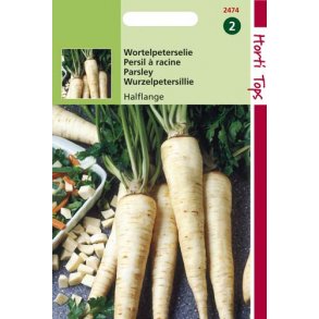 Petroselinum crispum var. tuberosum halflange