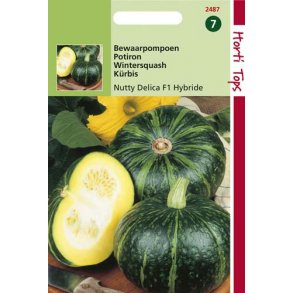 Cucurbita maxima Sweet Mama F1