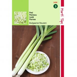 Allium porrum Bulgarian Giant