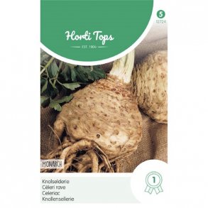 Apium graveolens Monarch