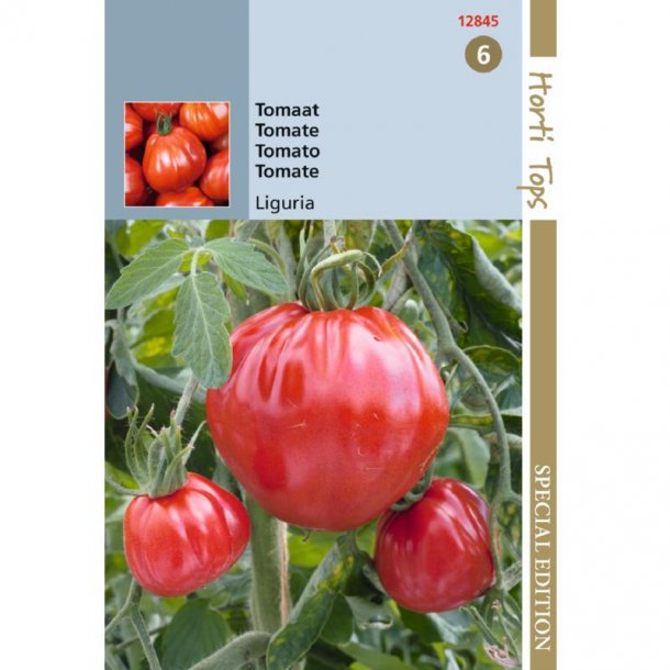 Solanum lycopersicum Liguria