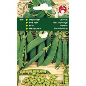 Pisum sativum Meteor / Eminent