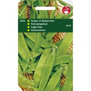 Pisum sativum var. macrocarpon Norli