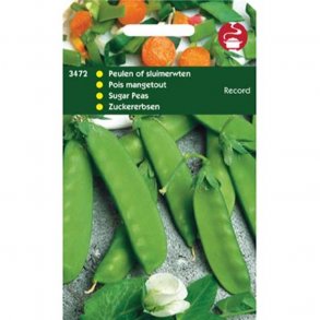 Pisum sativum var. macrocarpon Record