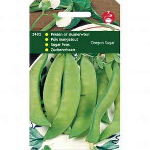 Pisum sativum var. macrocarpon Oregon Sugar