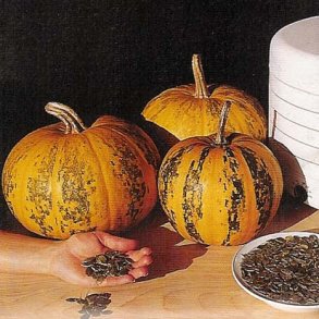 Cucurbita Pepo Kakai