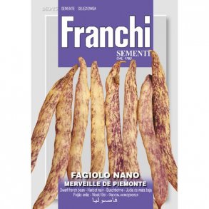 Phaseolus vulgaris Merveille De Piemonte