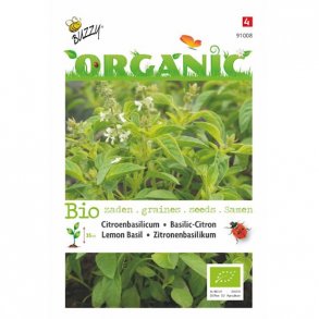 Ocimum basilicum Lemon - kologiske fr