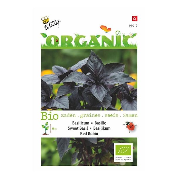Ocimum x forskolei Red Rubin - Økologiske frø - Buzzy® Organic Seeds - - The Plant Explorer