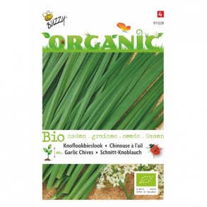 Allium tuberosum - kologisk fr