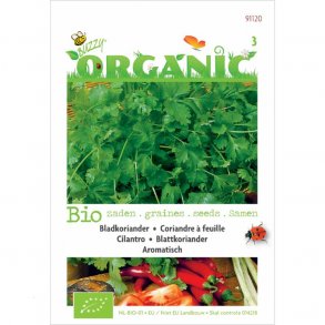 Coriandrum sativum - kologiske fr