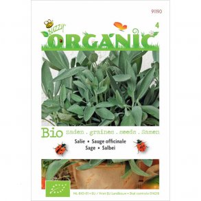 Salvia officinalis - kologiske fr