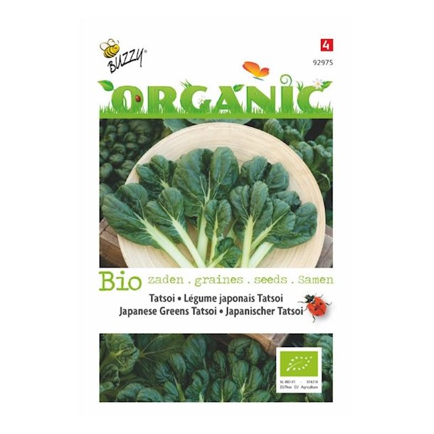 Brassica narinosa Japanese Greens Tatsoi - Økologisk frø