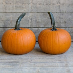 Cucurbita Pepo Small Sugar