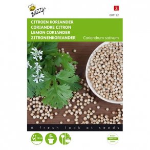 Coriandrum sativum Lemon