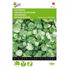 Nasturtium officinale