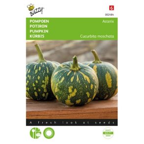 Cucurbita moschata Asterix