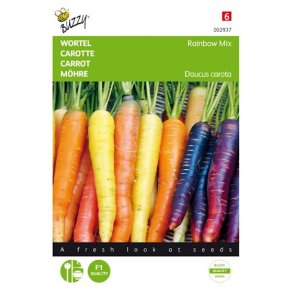 Daucus carota Rainbow Mix 