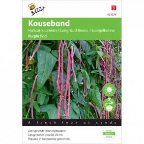 Vigna sesquipedalis Purple Pod 