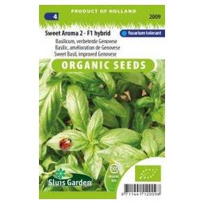Ocimum basilicum Sweet Aroma 2 - F1 - kologiske
