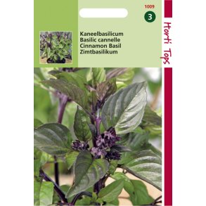 Ocimum basilicum Cinnamomo
