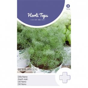Anethum Graveolens Nano