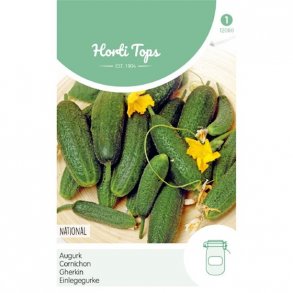 Cucumis sativus Parisian Pickling - National