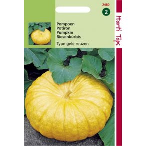 Cucurbita maxima Jaune de Paris