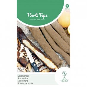 Scorzonera hispanica Duplex