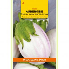 Solanum melongena Rotonda bianca sfumata di rosa