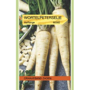 Petroselinum crispum var. tuberosum Berliner