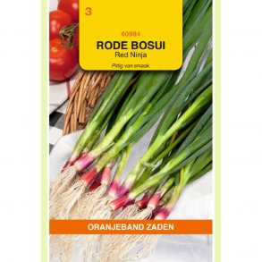 Allium fistulosum Red Ninja