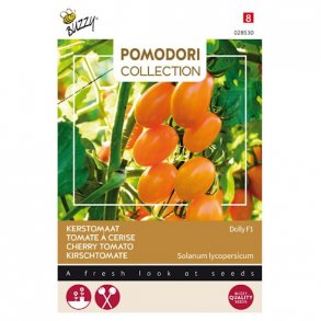 Solanum lycopersicum Dolly F1