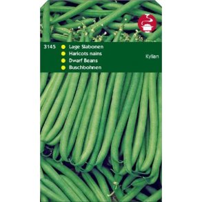 Phaseolus vulgaris Kylian