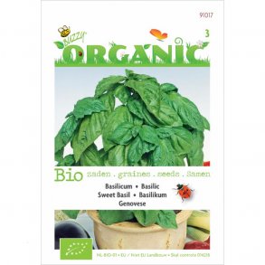Ocimum basilicum Italiano Classico - kologiske