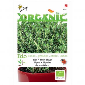 Thymus vulgaris German Winter - kologisk fr