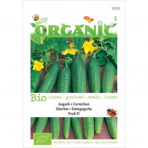 Cucumis sativus Profi F1 - �kologiske fr�