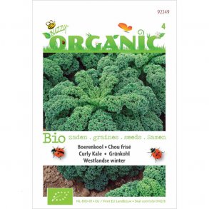 Brassica oleracea convar. acephala Westlandse Winter - kologisk fr