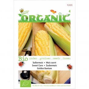 Zea mays saccharata Golden Bantam - kologisk fr
