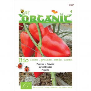 Capsicum annuum Piquillo - kologisk fr