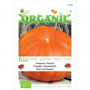 Cucurbita maxima Rode van Etampes - kologiske