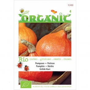 Cucurbita maxima Uchiki Kuri  Hokkaido - kologiske fr