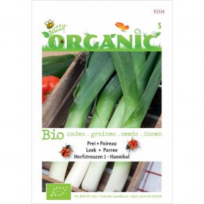 Allium porrum Herfstreuzen 2 - Hannibal - kologiske fr