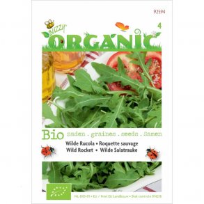 Diplotaxis tenuifolia Rucola Wilde - kologiske