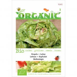 Lactuca sativa Meikoningin - kologiske