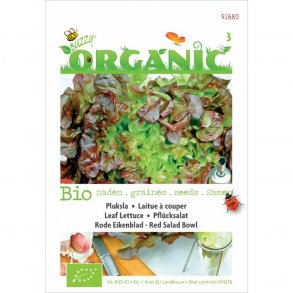 Lactuca sativa Red Salat Bowl - kologiske