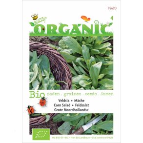 Valeriana locusta L. Grote Noordhollandse - kologiske